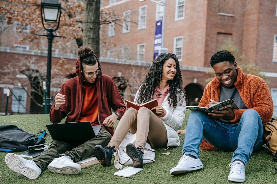 education brand development