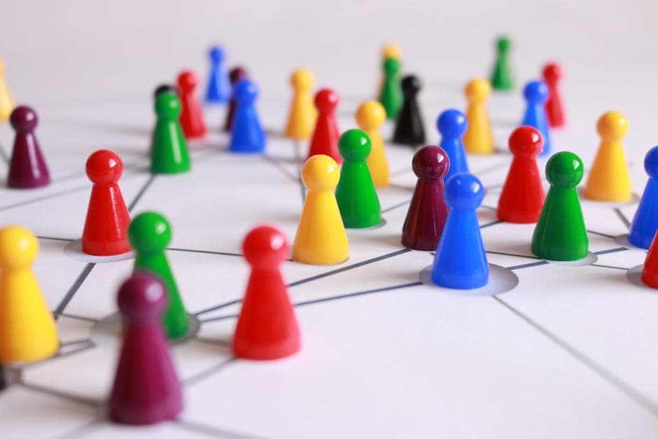 establish category leadership